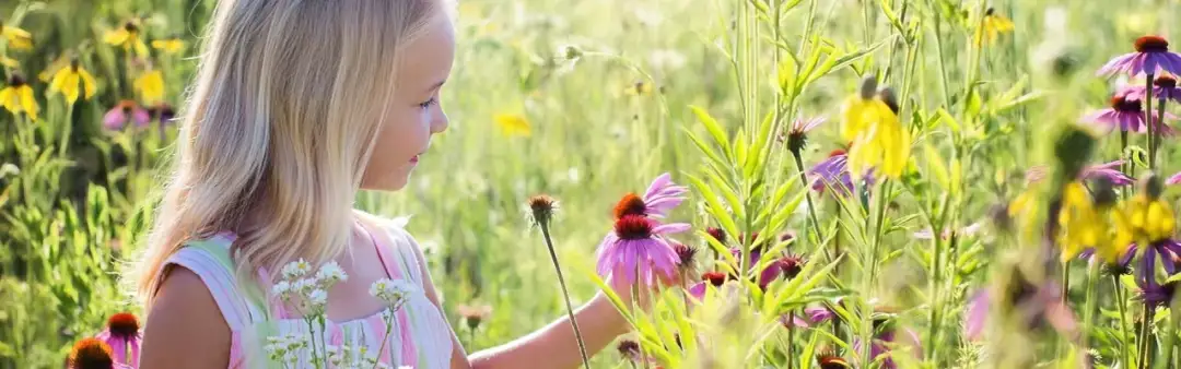 Wielkopolska z dzieckiem: 15+ pomysłów na weekend pełen przygód!