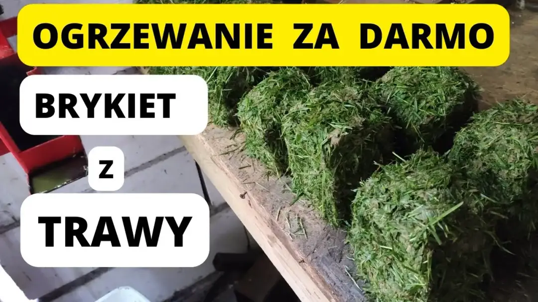Jak zrobić brykiet z trawy - proste kroki i najlepsze materiały