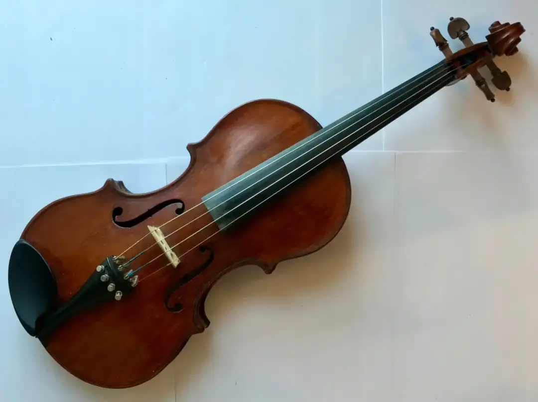 Ile kosztują skrzypce: kompleksowy przegląd aktualnych cen instrumentów