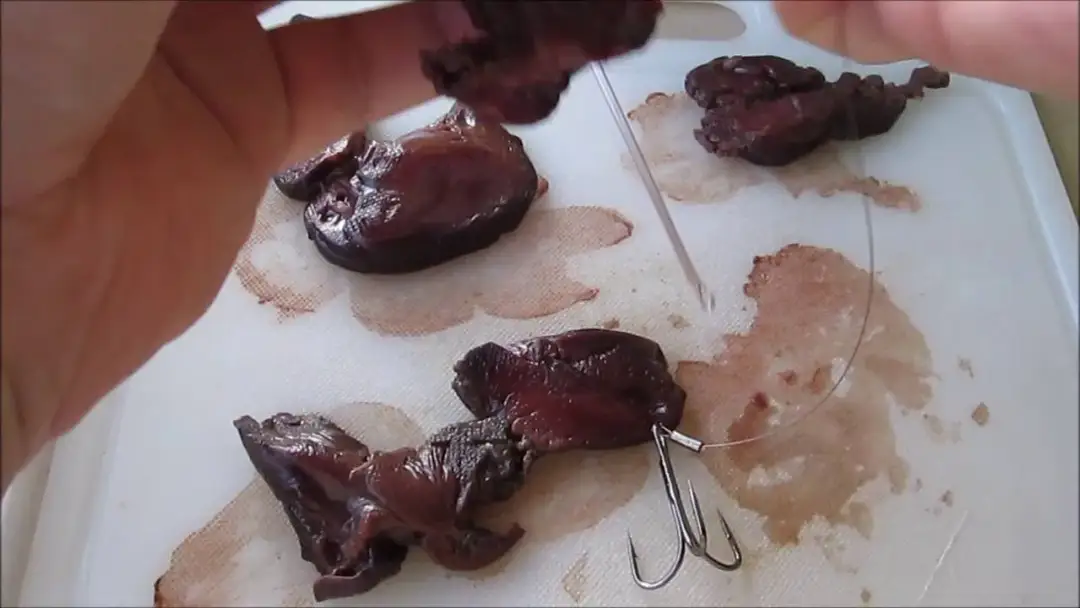 Jak założyć wątróbkę na haczyk? Skuteczne metody i porady