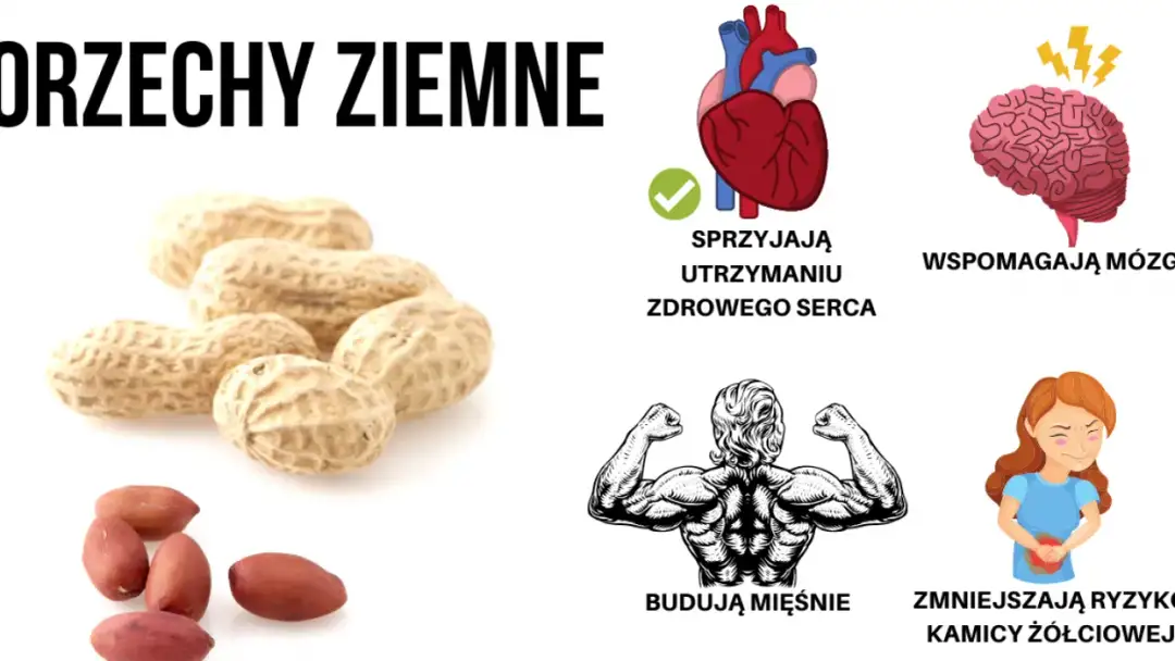 Znaczenie snu o orzechach: Tłumaczenie sennych orzechów