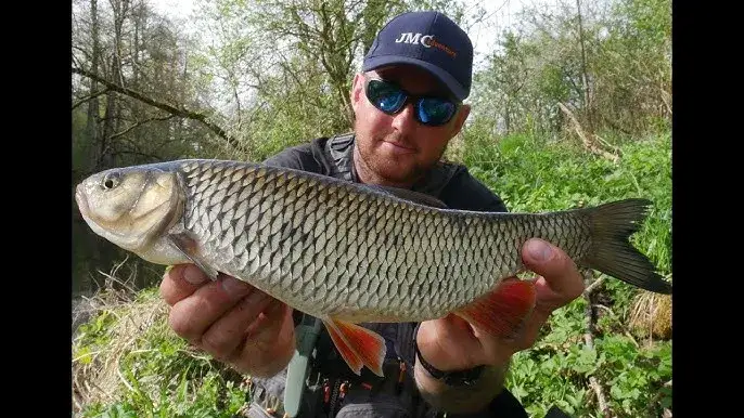 Przynęta z lśniącego metalu – jak skutecznie przyciągnąć drapieżniki