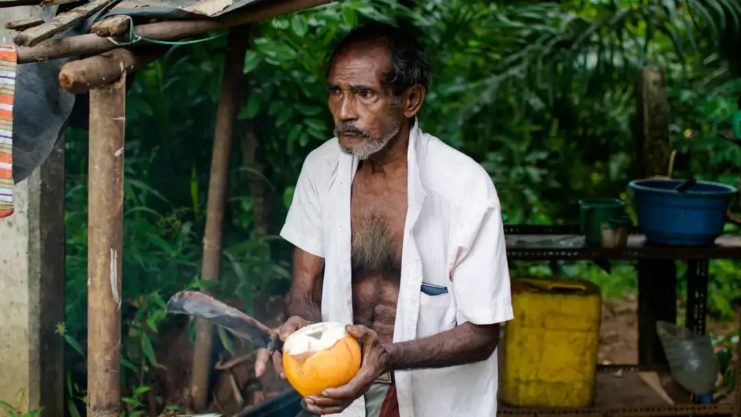 Mężczyzna na Sri Lance przygotowuje kokosa. Taki napój to świetny sposób na orzeźwienie i poznanie smaków wyspy.