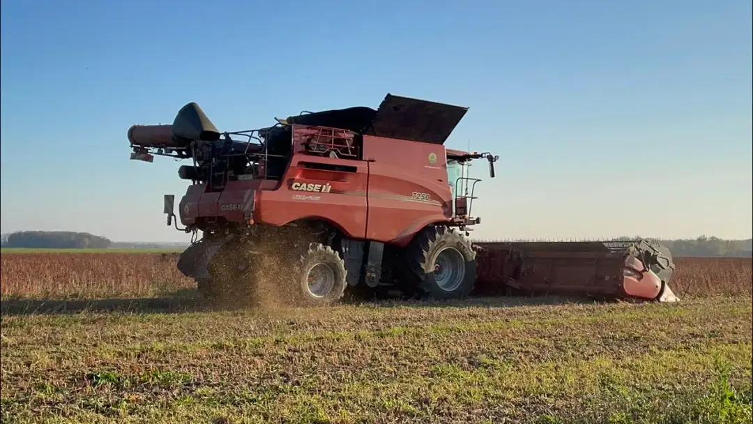 Kiedy sieje się grykę? Kluczowe daty i błędy, których unikać