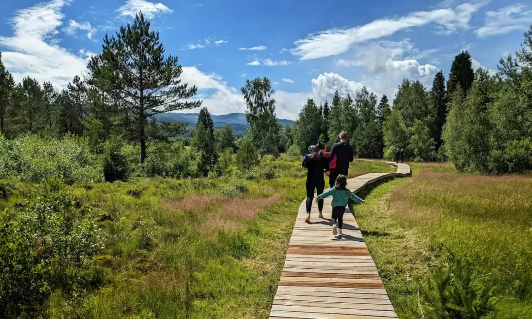 Torfowiska Bieszczady - Tarnawa. Dostępne dla każdego