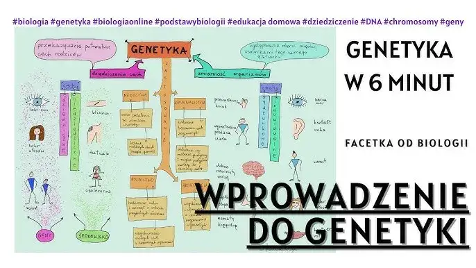 Genetyka: Czym jest i jak DNA kształtuje Twoje życie?