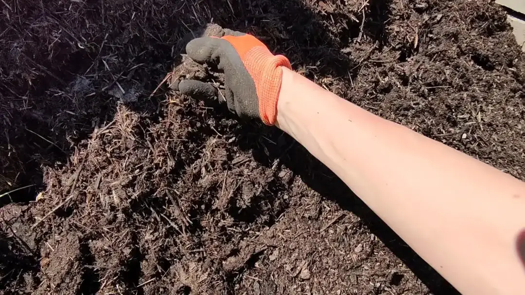 Czy kompost z trawy zakwasza glebę? Poznaj prawdę o pH trawnika