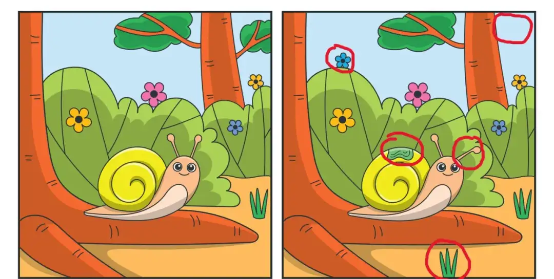 Zagadki dla 6-latka: Rozwiń kreatywność i baw się z dzieckiem!