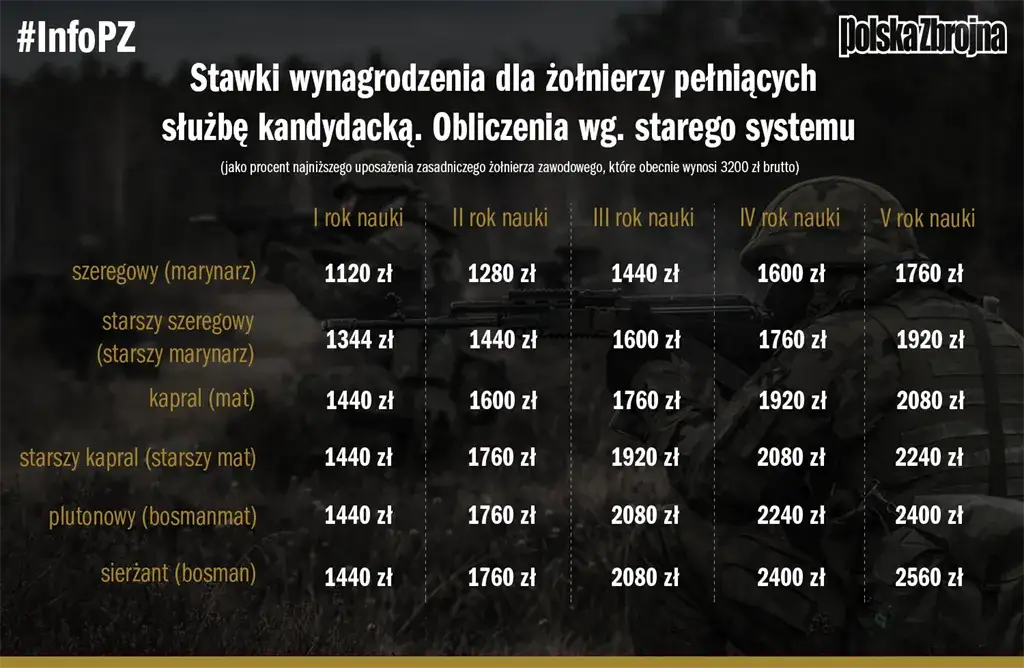 Zarobki doradcy zawodowego: Mediana, widełki i jak je zwiększyć?