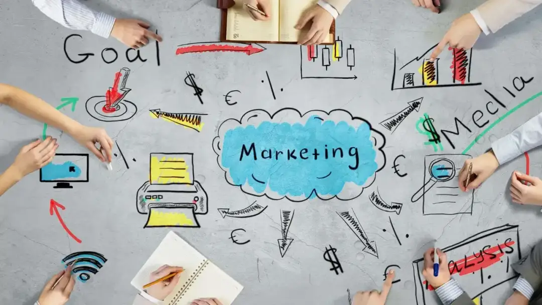 Jakie możliwości zawodowe czekają po studiach z marketingu?