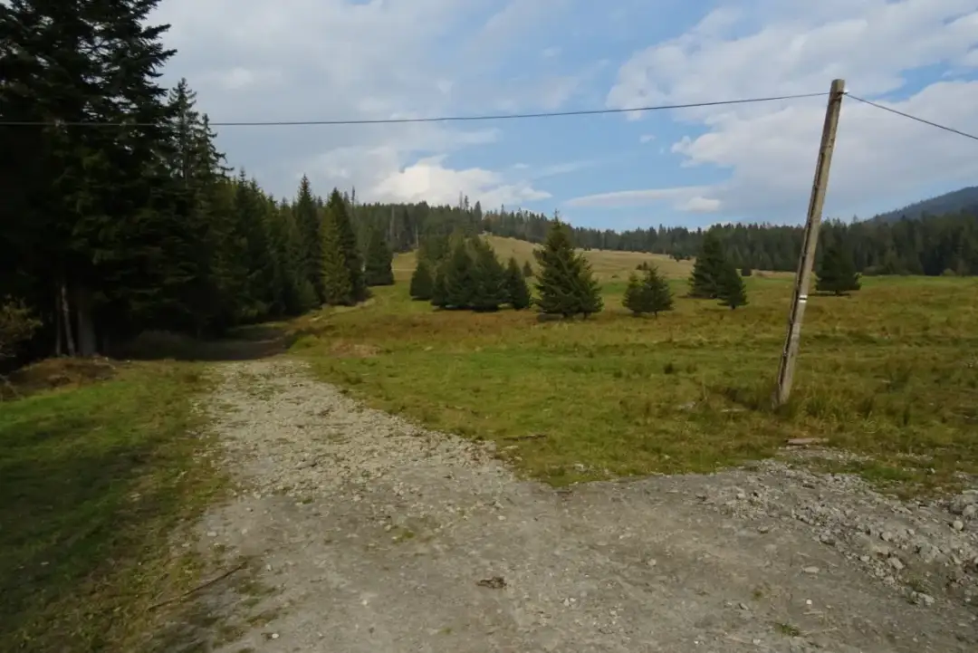 Zubrzyca Górna: Atrakcje, szlaki i praktyczne wskazówki na Orawie