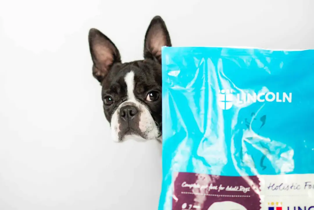 Jak podać psu tabletkę na odrobaczanie? Skuteczne metody bez stresu