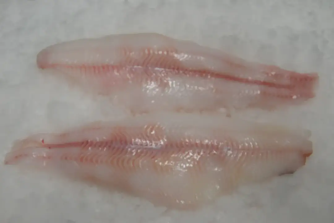 Jak się pisze świeży? Poznaj zasady, znaczenie i przykłady użycia.