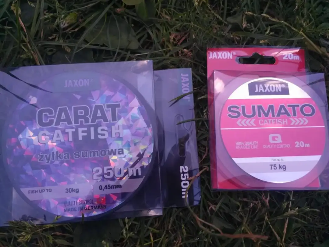 Plecionka na suma z gruntu: Holuj giganta pewnie! Poradnik