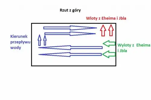 Prawidłowe ustawienie wylotu filtra w akwarium - kompletny poradnik