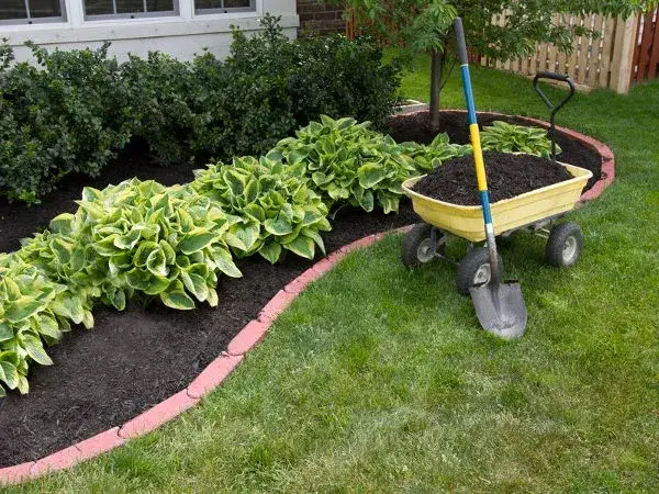 Obrzeża i Obrzeża Kostką na Obrzeże Trawnika