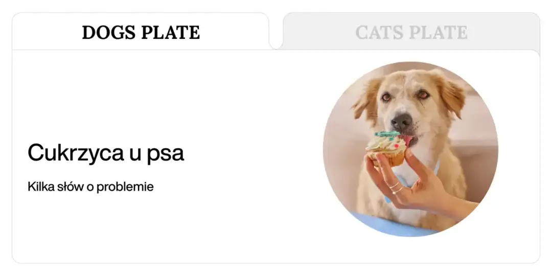 Pies pije i chudnie? Sprawdź objawy cukrzycy i plan działania!