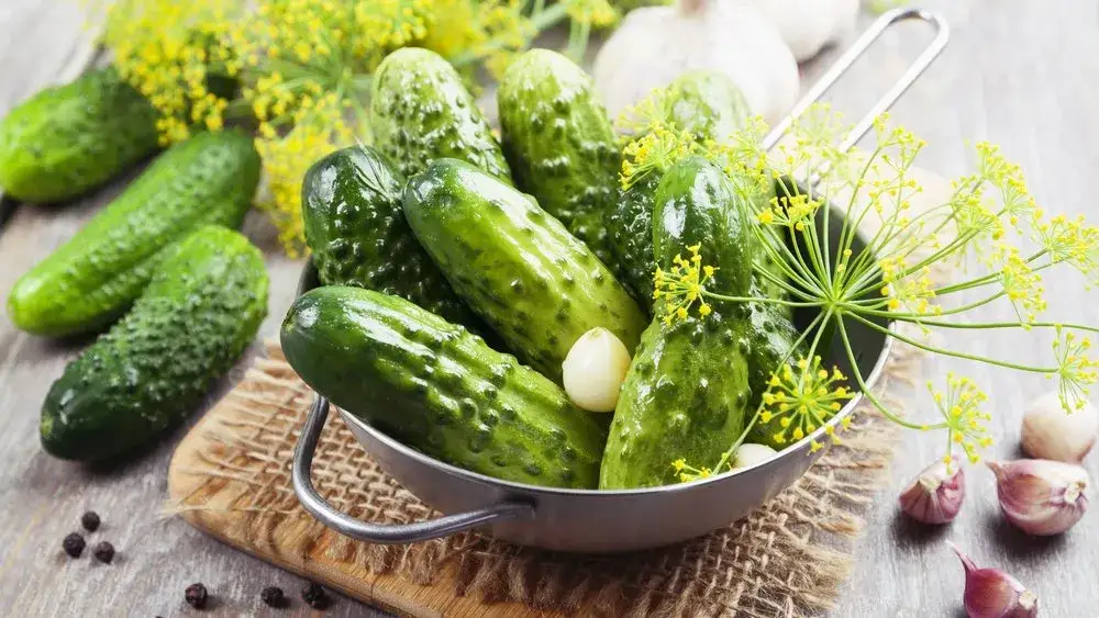 Praktyczny przewodnik kiszenia ogórków: ilość soli w pigułce