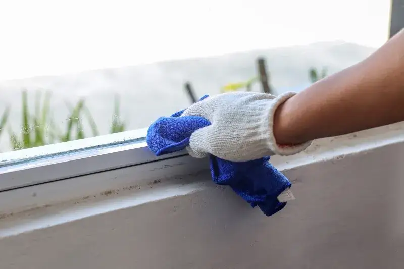 Czym myć okna, żeby się błyszczały? Sprawdzone metody bez smug