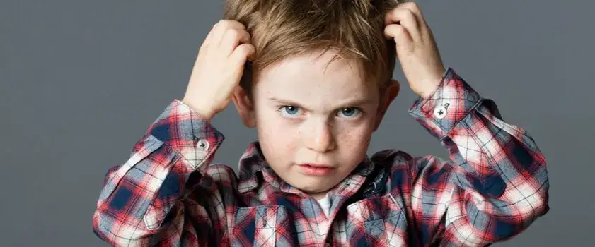 Jak się rozmnażają wszy? Poznaj zaskakujące fakty o ich cyklu życia