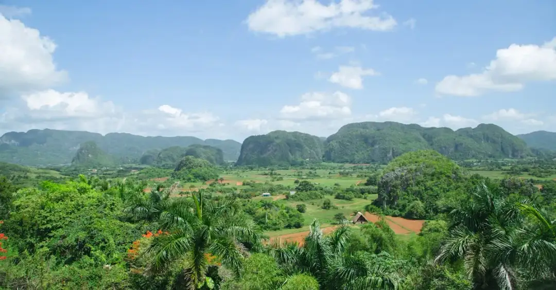 Czy palmiarnia w Nałęczowie to spokój czy turystyczna pułapka?