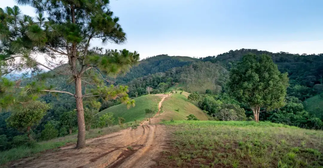 Najlepsze trasy motocyklowe w Rumunii – Przewodnik dla pasjonatów
