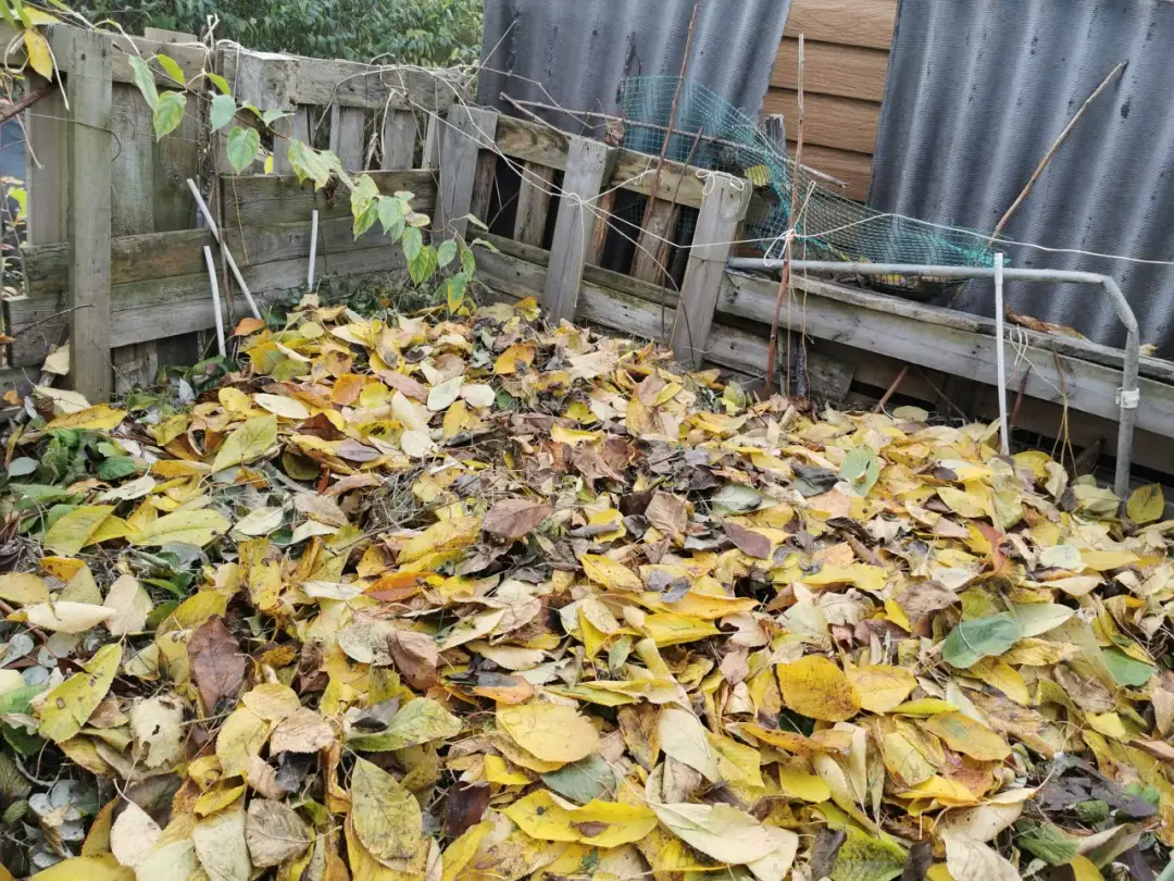 Skuteczne sposoby, czym przykryć kompost na zimę, aby go ochronić