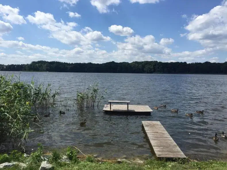 Jezioro Kórnickie - najlepszy sposób na aktywny wypoczynek z rodziną