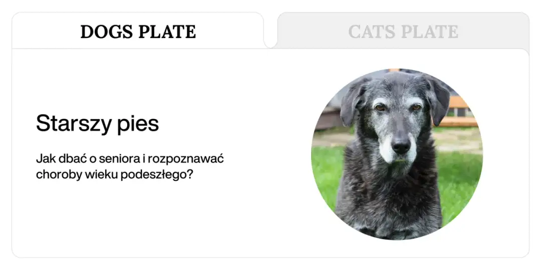 Pies senior z demencją? Rozpoznaj objawy i skutecznie pomóż!