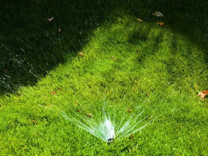 Jak zrobić nawadnianie trawnika, aby uniknąć problemów z podlewaniem