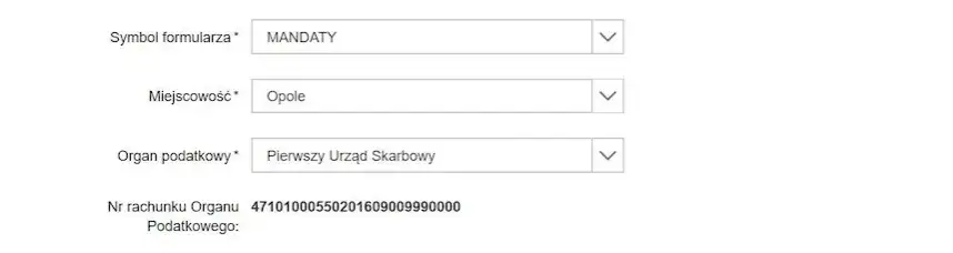 Jak poprawnie wpisać symbol formularza dla mandatu karnego skarbowego