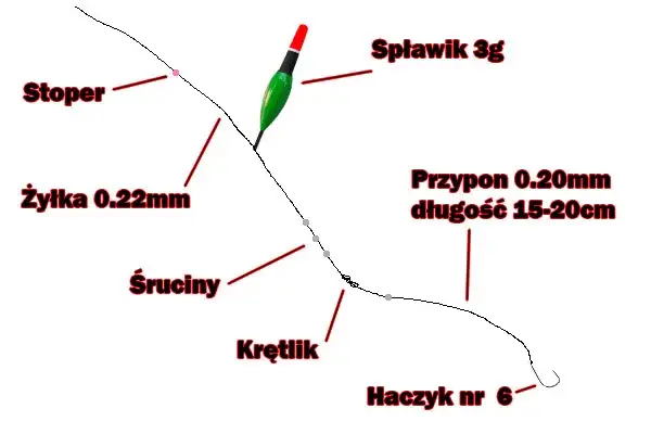 Jak przygotować wędkę na grunt, aby złapać więcej ryb niż kiedykolwiek