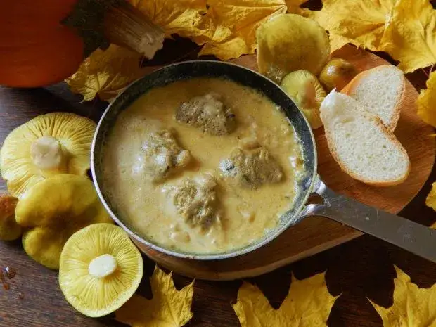 Gąski gdzie zjeść: odkryj najlepsze miejsca na smaczne jedzenie