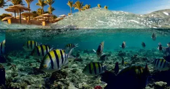 Czy Marsa Alam w Egipcie jest bezpieczne? Oto co musisz wiedzieć