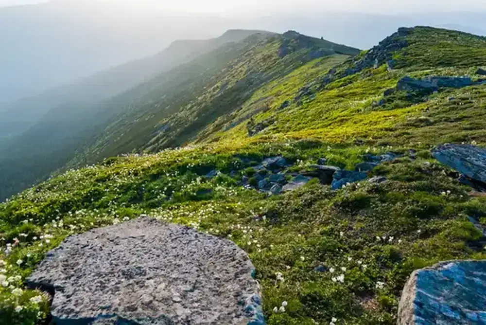 Babia Góra - jaki szlak wybrać, aby uniknąć trudności i cieszyć się widokami