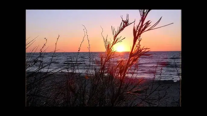 Kto śpiewa spacer dziką plażą - rozwiązujemy zagadkę kultowej piosenki