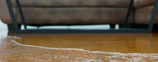 Jak osuszyć panele po zalaniu i uniknąć trwałych uszkodzeń