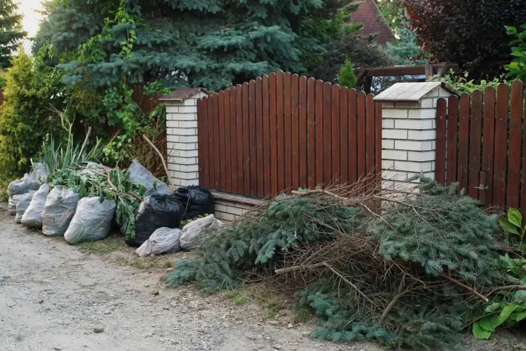 Gdzie wyrzucić gałęzie z działki, aby uniknąć kar i problemów?