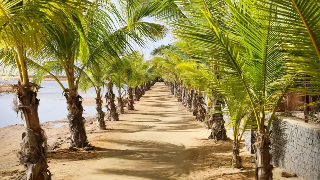 Kiedy jechać na Wyspy Zielonego Przylądka, by uniknąć złej pogody i wysokich cen