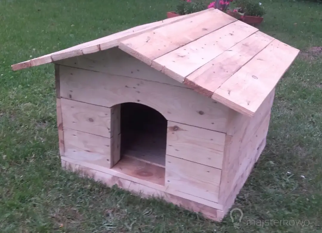 Jak zrobić budę dla psa z palet? Poradnik DIY krok po kroku