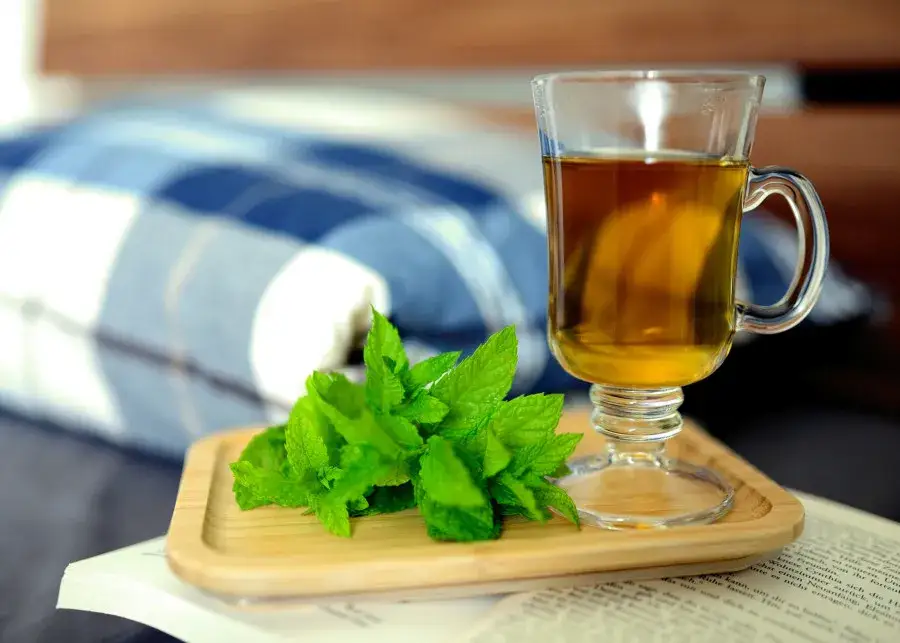 Jak zrobić herbatę z mięty: 5 prostych kroków i tajne triki
