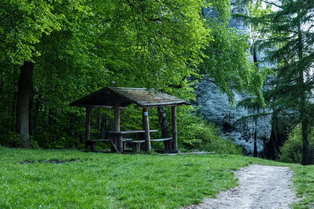 Rezerwaty przyrody w Polsce: Odkryj ich niezwykłe piękno i różnorodność