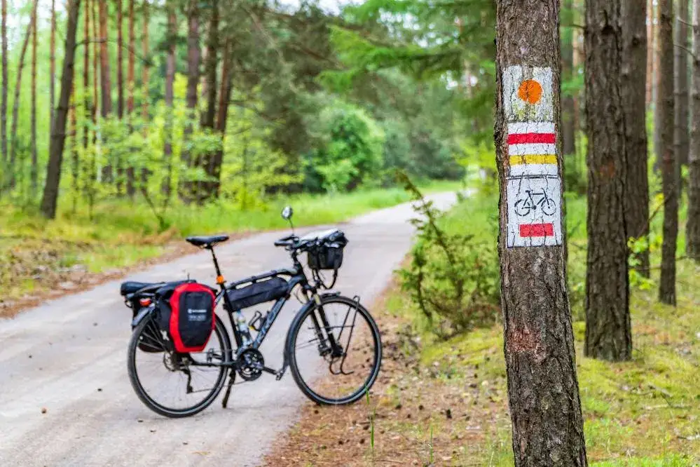 Które trasy rowerowe na Śląsku oczarują Cię swoim pięknem? Top 7