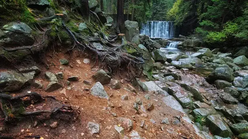 Co kryje Magurski Park Narodowy? Oto 7 nieznanych atrakcji czeka!