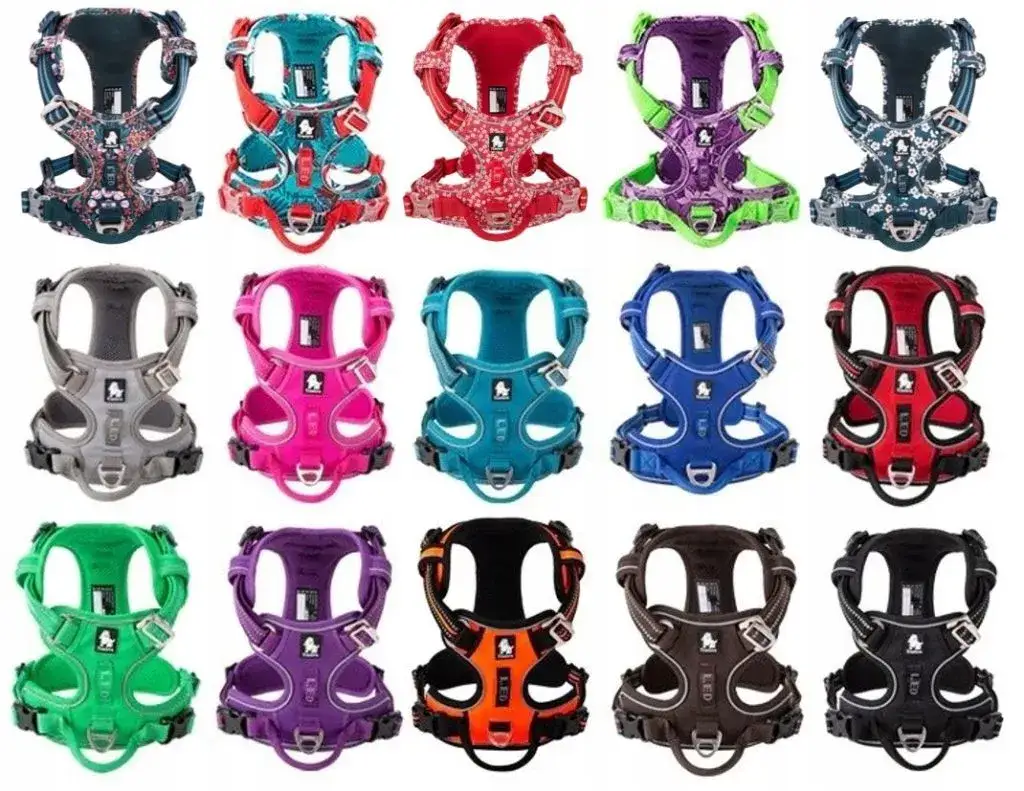 Jakie szelki dla akity wybrać, aby uniknąć problemów na spacerze?