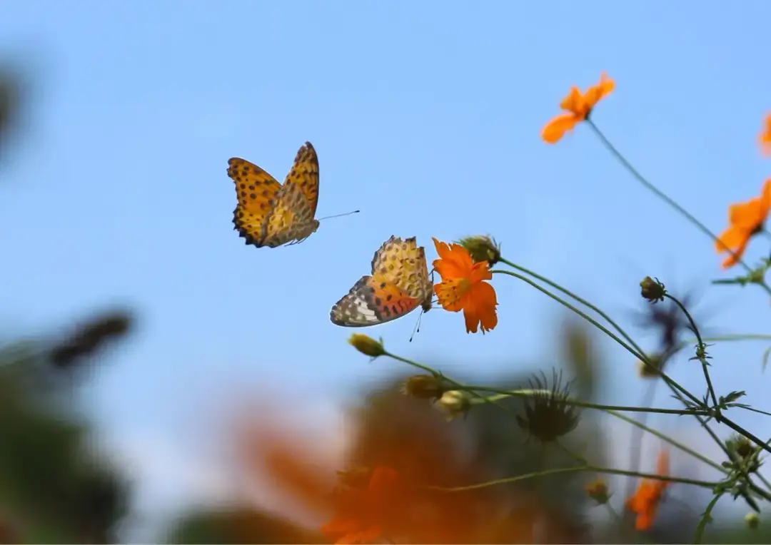 Jaki sens ma życie? Odkryj różne perspektywy i odpowiedzi na to pytanie