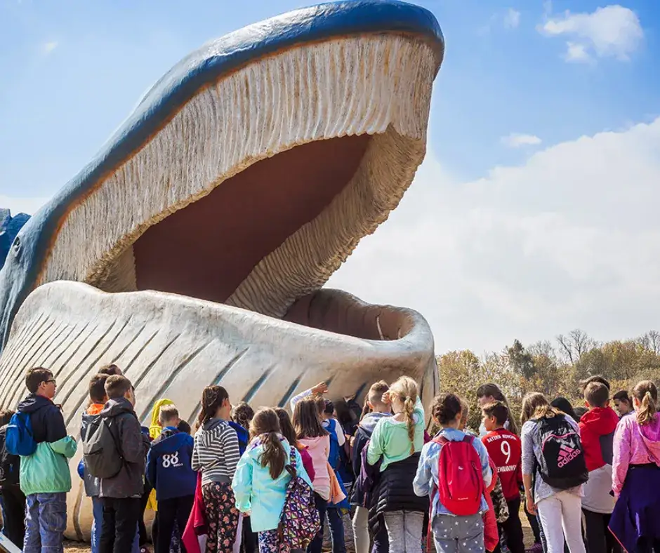 Najlepsze atrakcje w Władysławowie, które musisz zobaczyć na wakacjach
