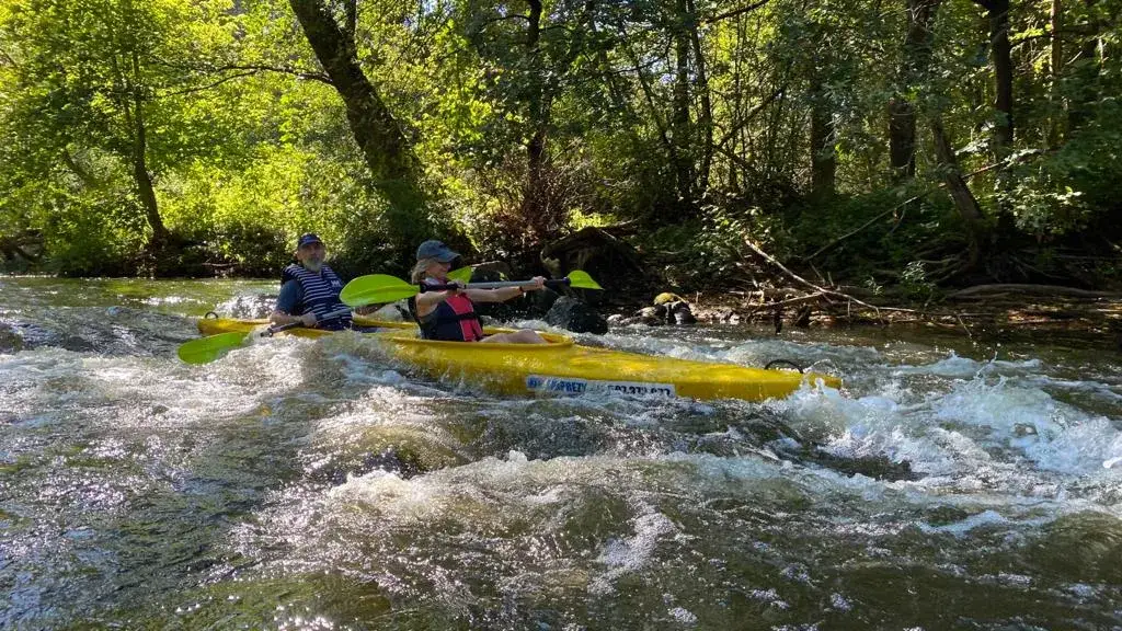 Spływy kajakowe Częstochowa – najlepsze trasy i wypożyczalnie kajaków