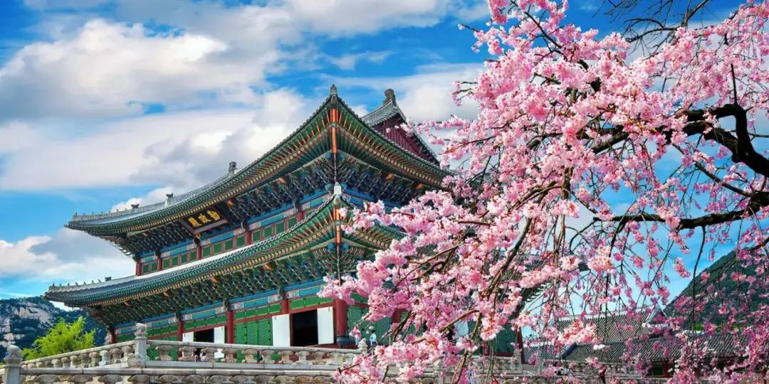 Ile kosztuje lot do Korei? Ceny, które mogą cię zaskoczyć