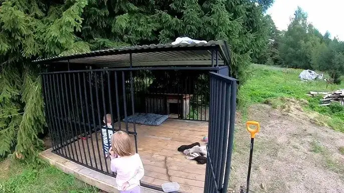 Jak tanio zrobić kojec dla psa z materiałów recyklingowych i oszczędzić